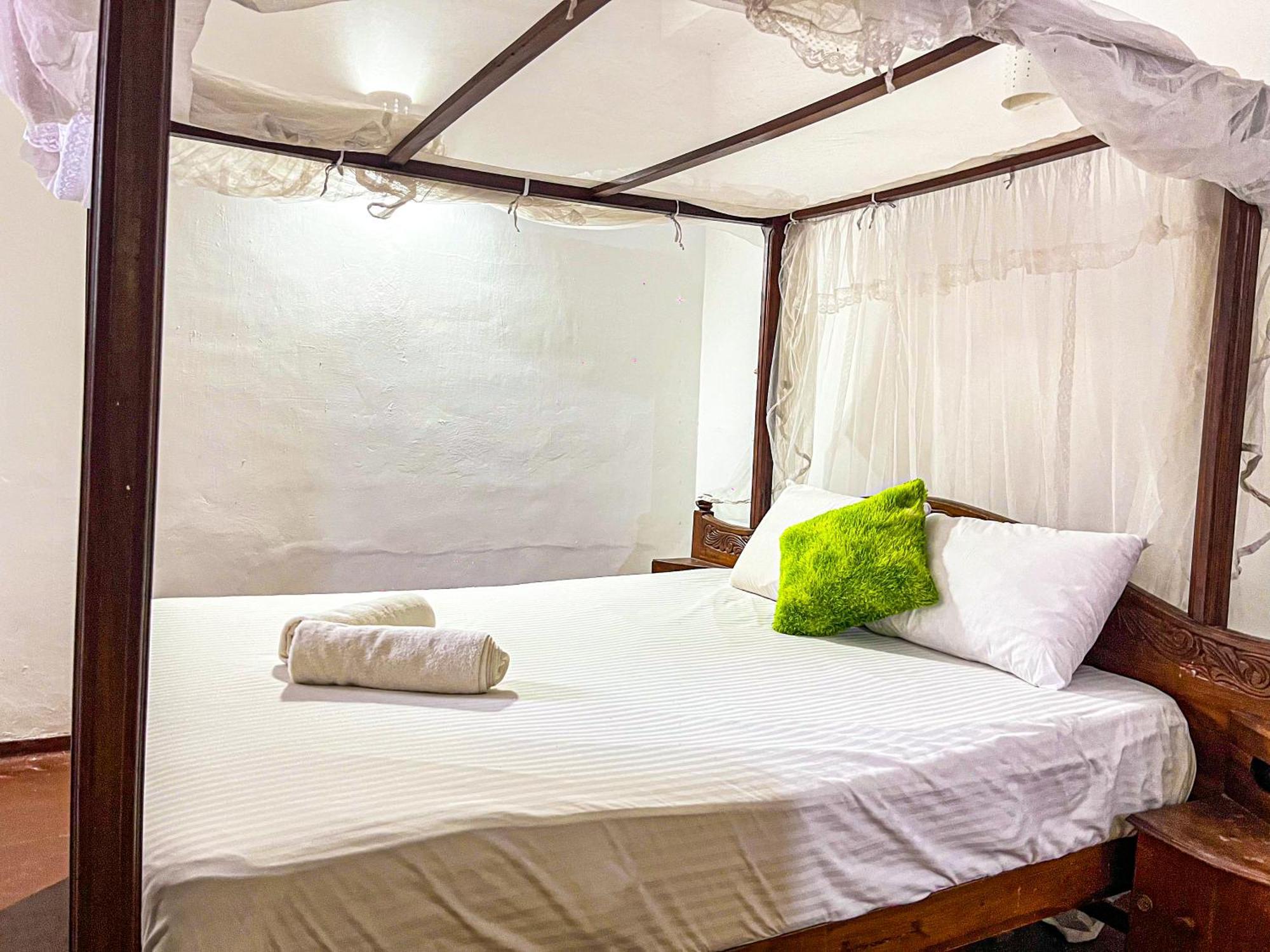 Galle Camellia المظهر الخارجي الصورة