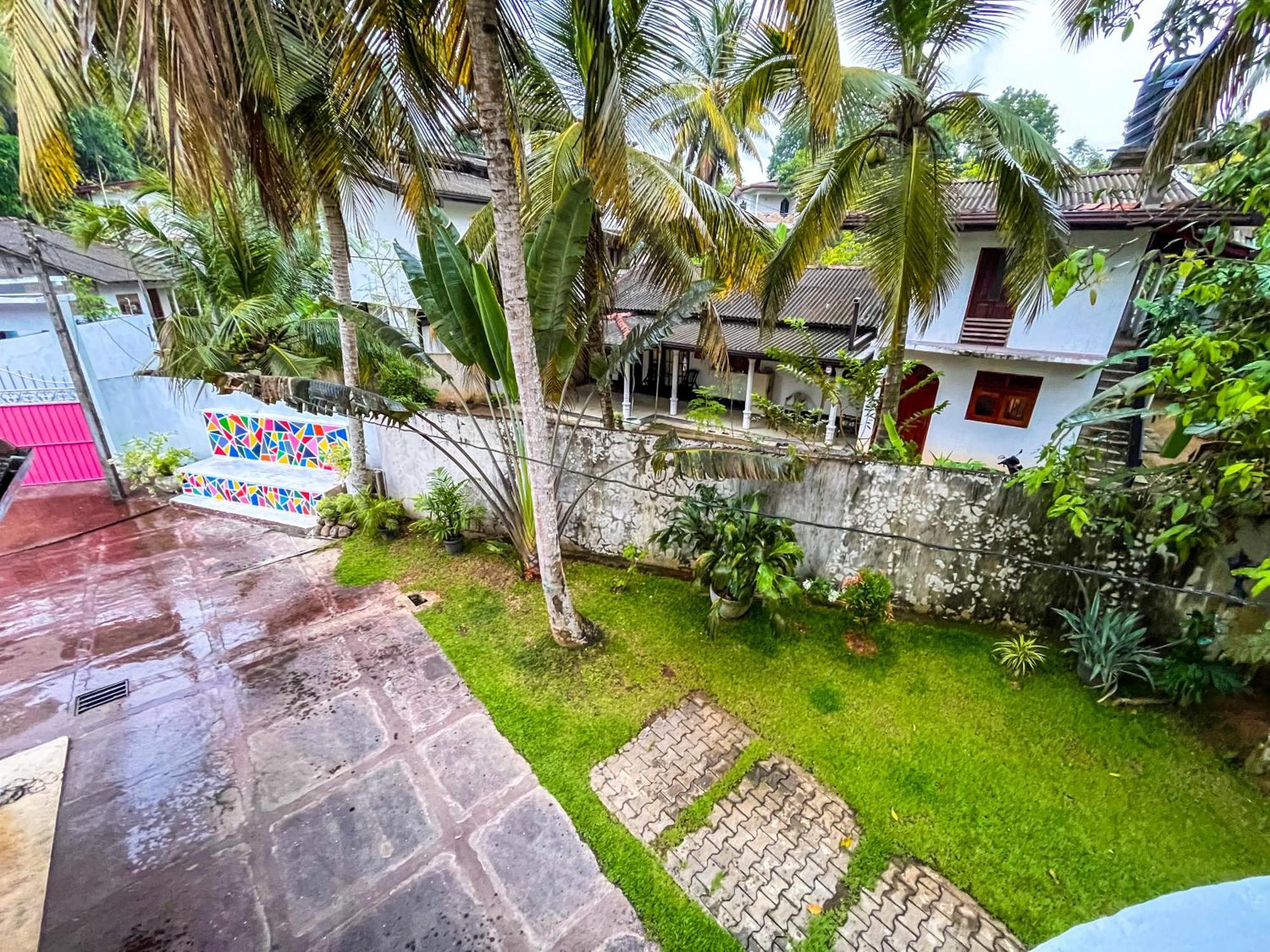 Galle Camellia المظهر الخارجي الصورة