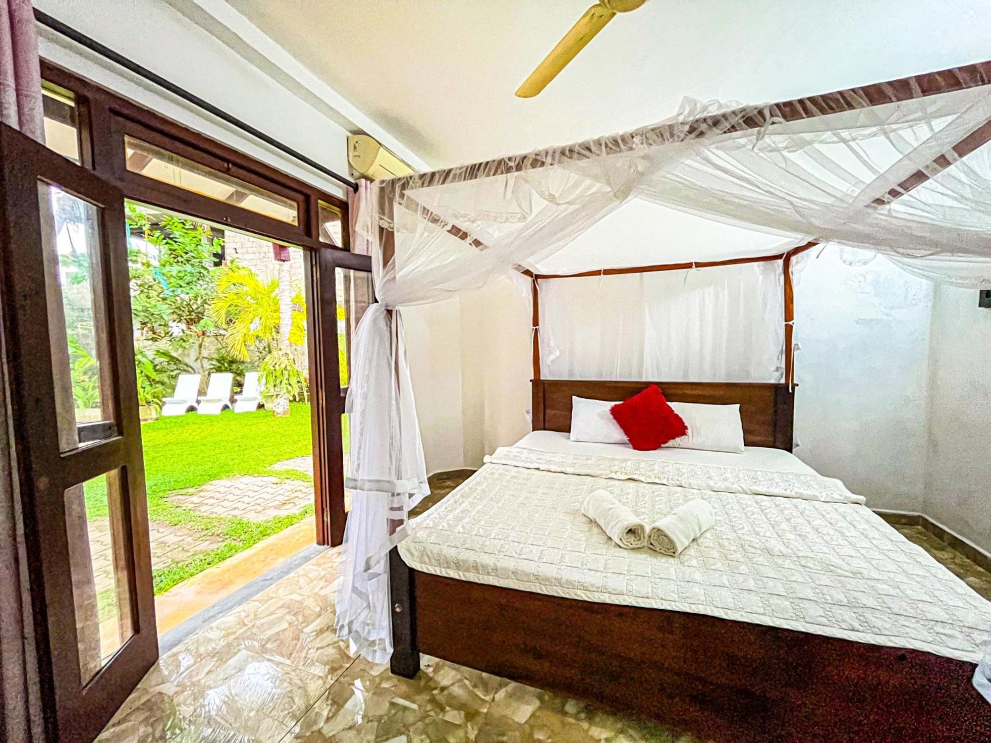 Galle Camellia المظهر الخارجي الصورة