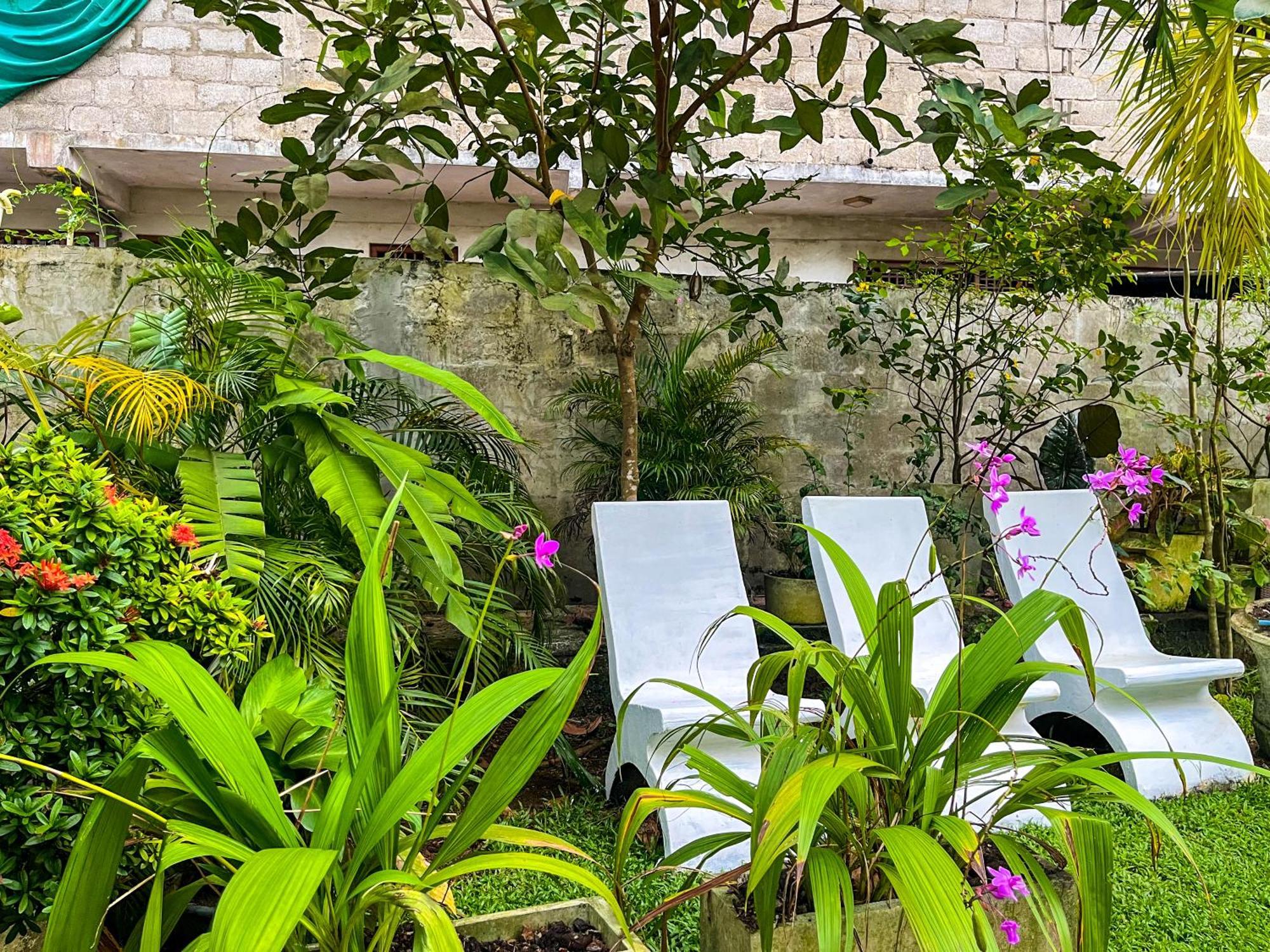 Galle Camellia المظهر الخارجي الصورة