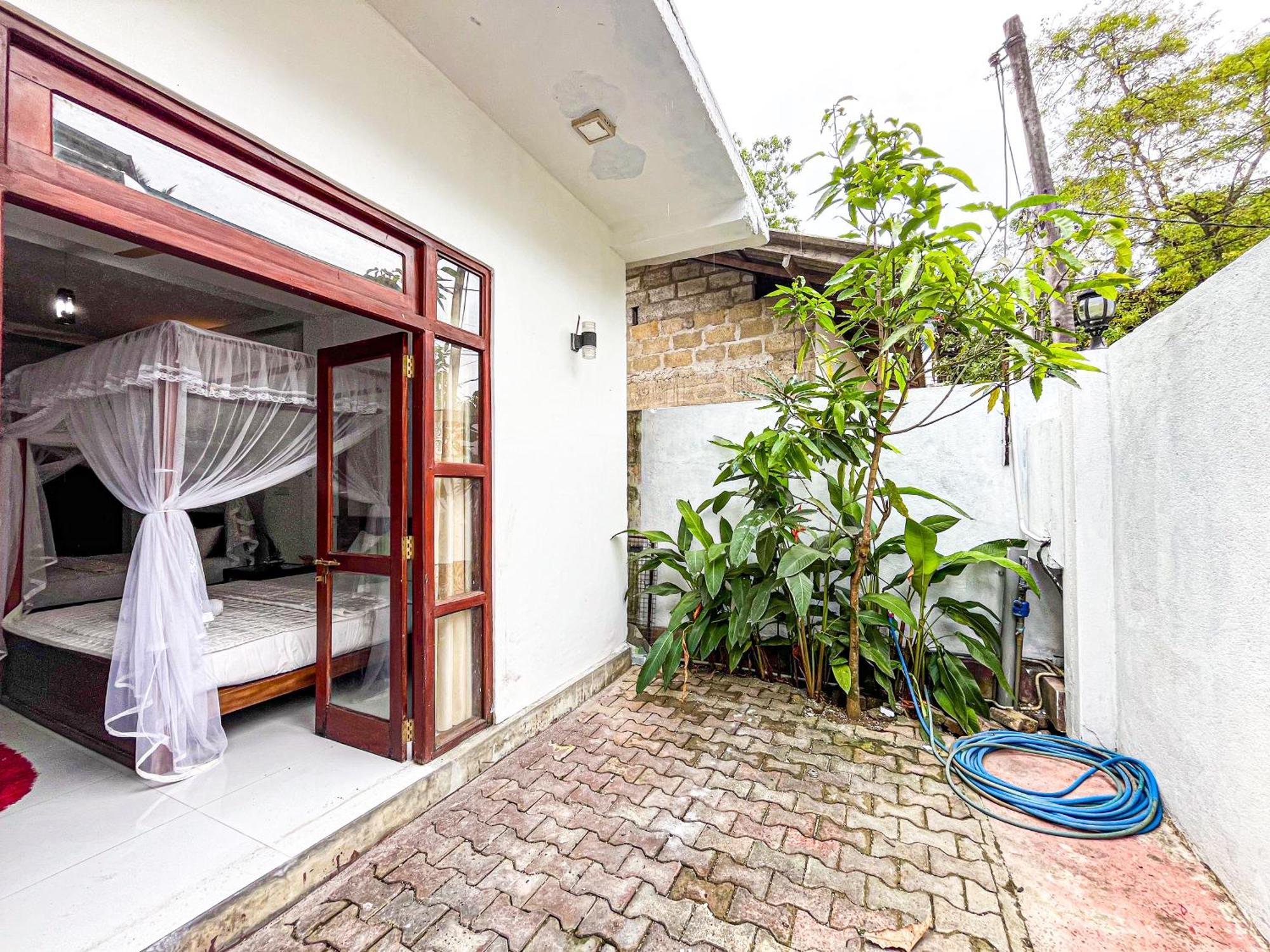 Galle Camellia المظهر الخارجي الصورة